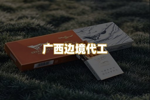 广西边境代工